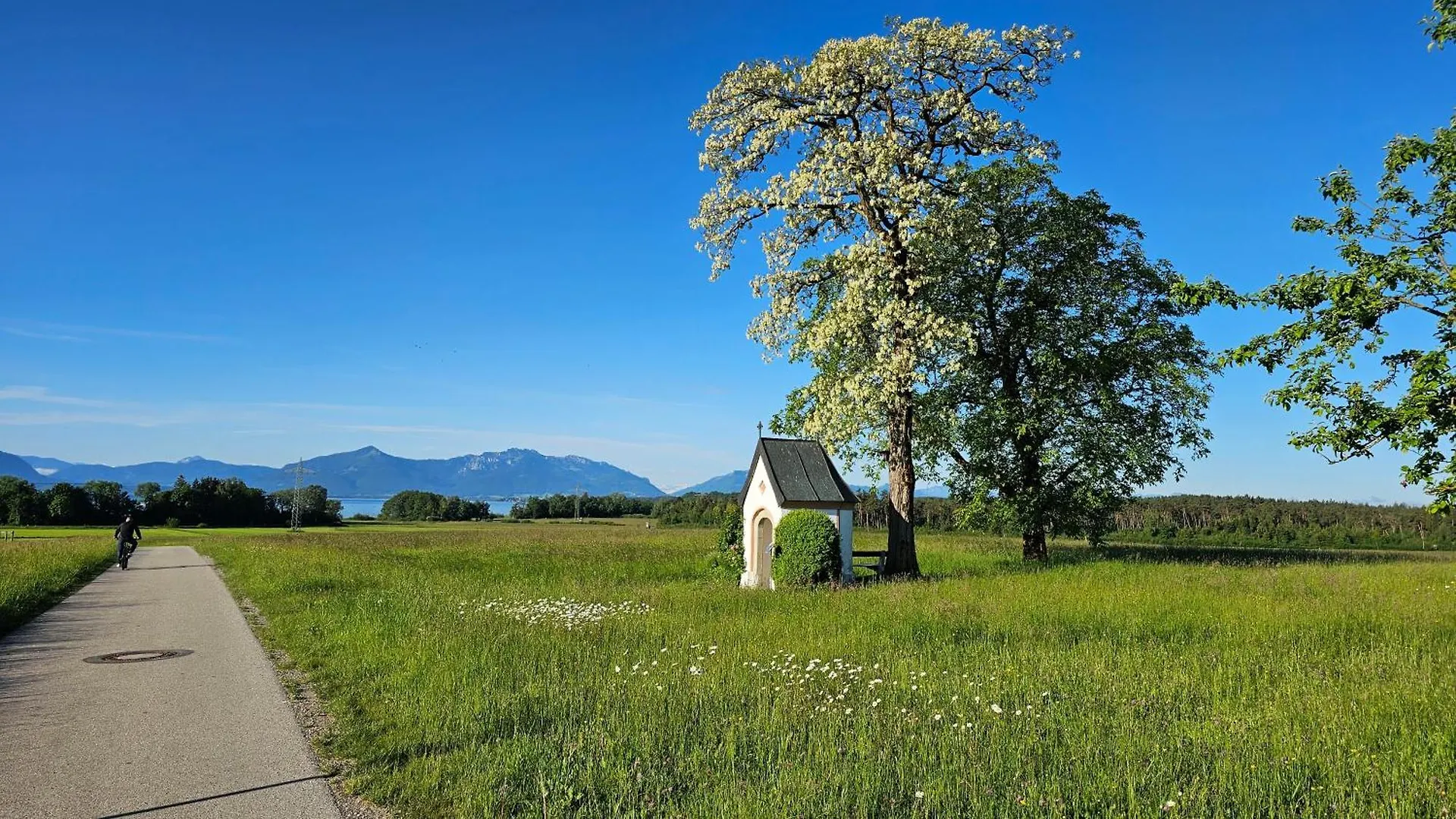 Farm stay Moier-Hof Lex Villa Seeon-Seebruck